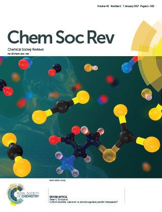 Chem Soc Rev Cover