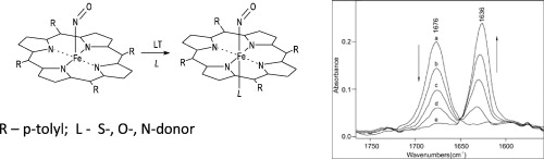 Weak-coordination of of neutral S- and O-donor proximal ligands to a ferrous porphyrin nitrosyl. Weak-coordination of of neutral S- and O-donor proximal ligands