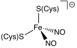 An example of a DNIC An example of a DNIC